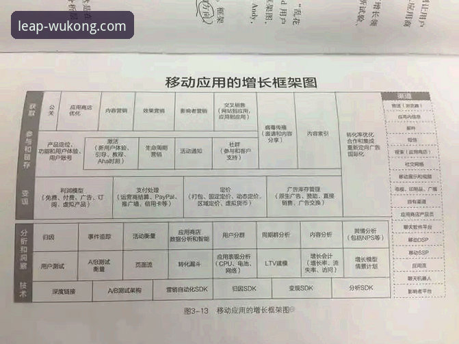 悟空体育平台竞猜技巧提升与实战应用完整指南