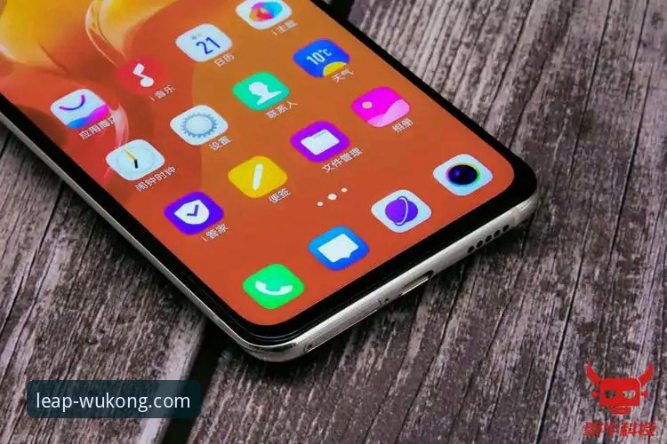 悟空体育平台客服联系安全性与服务体验全面评测